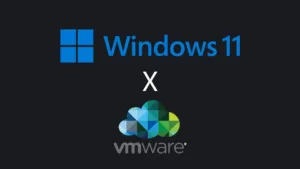 Instalación VMware 10/11